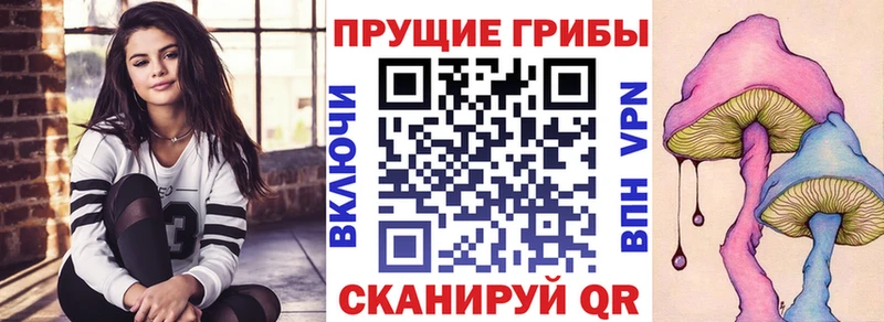 blacksprut зеркало  купить закладку  Очёр  Псилоцибиновые грибы Cubensis 